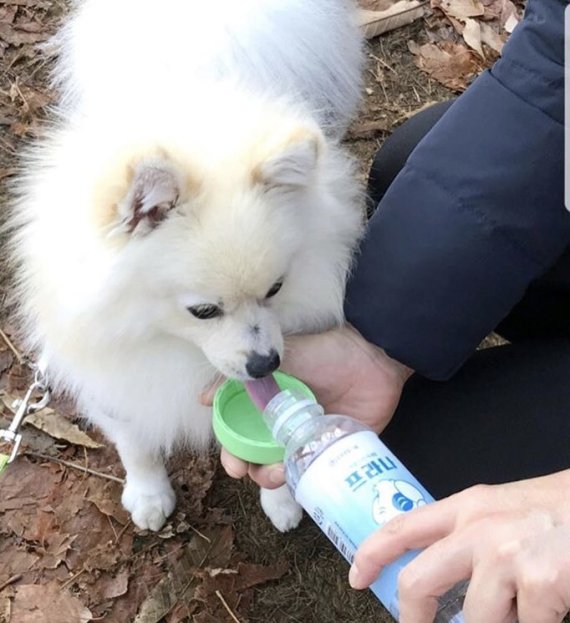 동우유통 이미지