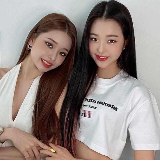 프리지아 이미지
