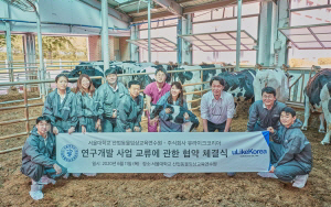 유라이크 이미지