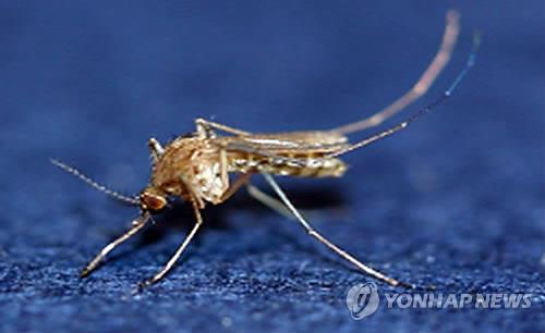 빨간집 이미지