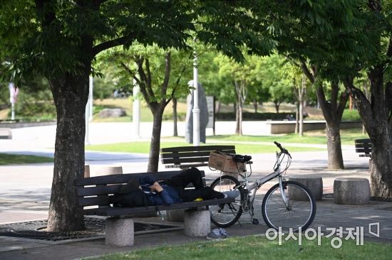 나무그늘아래 이미지