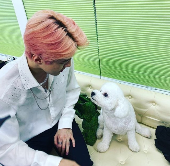 Group EXO member Sehun has reported on the latest situation.Sehun posted a photo on his personal instagram on June 15 with an article entitled On me.In the photo, Sehun is facing Pet. Pets lovely look at Sehun caused a lot of joy.park jung-min