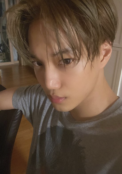 EXO Kai has emanated a breath-stop charisma.Kai posted a selfie photo on her Instagram page on Saturday, where he is wearing wet hair and comfortable casual but with intense eyes.Kai was born in 1994, and although she is in her mid-20s this year, she is impressed by her honey skin as much as her teens and visuals.On the other hand, EXO, which Kai belongs to, released a live sound source of EXO PLANET # 5 - EXpLOration - in JAPAN, the fifth world tour Japanese performance in April.Suho, Dio and Siu Min are currently in military service.SNS