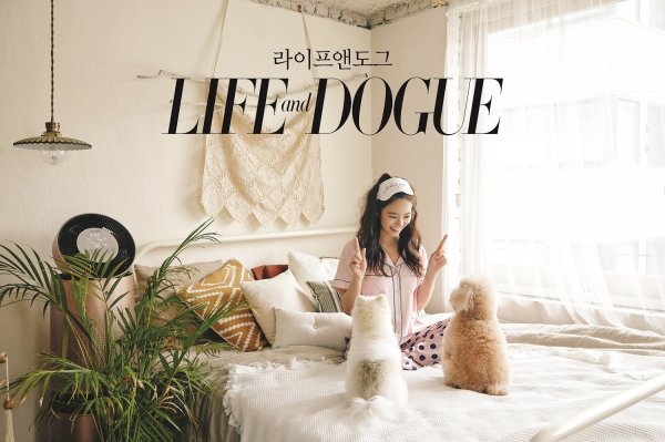 Han Seung-yeon, an actor from the group KARA, has decorated the cover of the summer issue of Life And Dogue, a companion animal magazine.Han Seung-yeon released a special picture with his Pet Puri and Nubi on the 16th.Han Seung-yeon in the picture not only emits pets and lovely chemistry, but also captivates the eye with a refreshing and refreshing visual.Han Seung-yeon has been interested in companion animals and has been active in the activities, such as serving as a public relations ambassador for the Pet Walking Campaign or serving personal services at the dog shelter.Ive been with Fury and Nubi for nine years now, and Im always grateful that fans have been so interested and loving, Han Seung-yeon said in a photo interview.Han Seung-yeon and Pets lovely summer picture can be found in Life and Dog No. 19.
