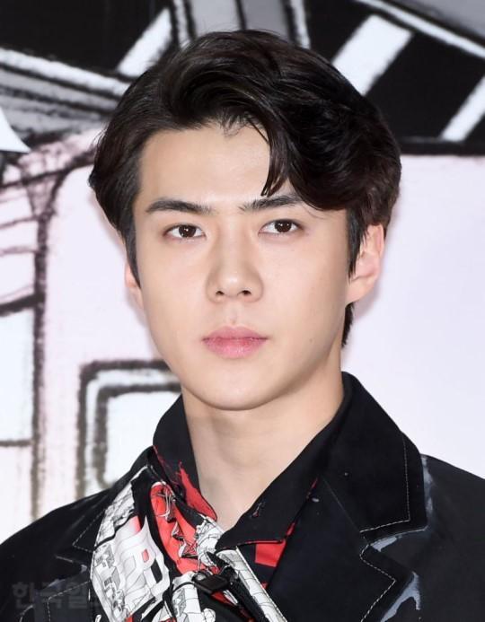 The Pirate Movie2, Kwon Sang-woo Kang Ha-neul to Sehun .. The film The Pirate Movie: The Goblin Flag (hereinafter referred to as The Pirate Movie 2), starring Kwon Sang-woo Kang Ha-neul Lee Kwang-soo, is drawing attention from prospective audiences as it suggests the joining of EXO Sehun.The Pirate Movie2 is a sequel to The Pirate Movie: Bandits to the Sea (2014), which attracted more than 8.66 million viewers, and became a hot topic by casting Kang Ha-neul Kwon Sang-woo Lee Kwang-soo Han Hyo-joo and Chae Soo-bin.When Sehuns joining is confirmed, The Pirate Movie2 is preparing for a full-scale shooting and is reportedly aiming for a crank-in in July.Sehun is said to have been offered the role of the finest sculptor The Pirate Movie, which is a special skill in archery.Sehun launched a full-fledged Acting challenge in 2018 through the mobile movie Dogo Rewind.In addition to Sehun, EXO member Dio Chanyeol guardian Siu Min is performing an act.Meanwhile Sehun is preparing for a new album with Chanyeol.