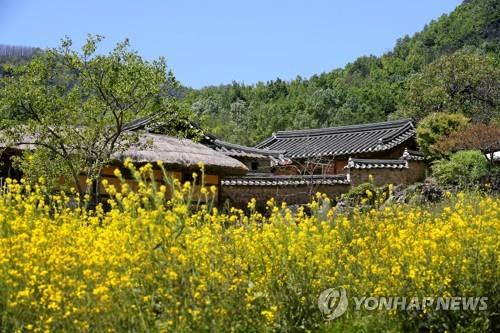 왕곡마을보존회 이미지