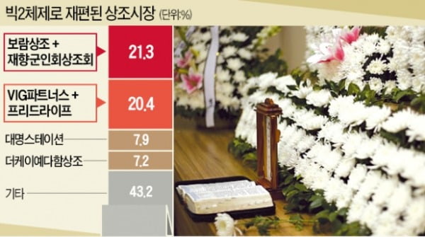 보람상조애니콜 이미지