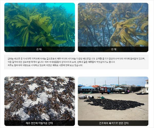 아쿠아그린텍(주) 이미지