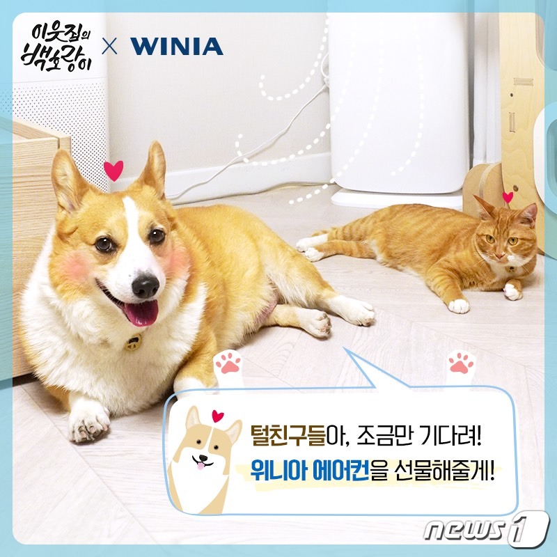 위니아딤채 이미지