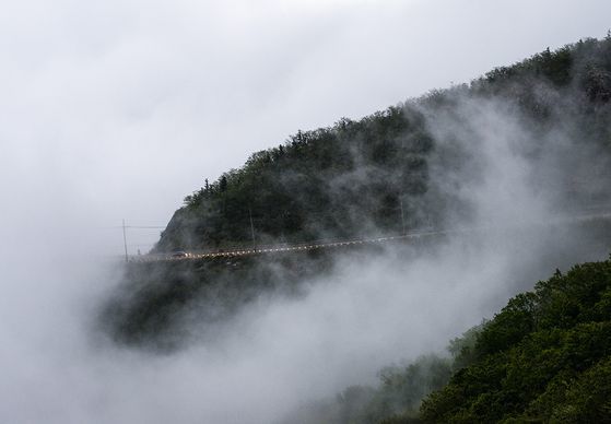 더구도 이미지