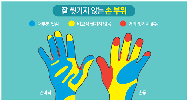 헝가리 의사 제멜바이스는 1840년대 "손을 소독하지 않는 의사는 살인자"라고 주장했고, 그 집요함때문에 살해당했다. 질병관리본부