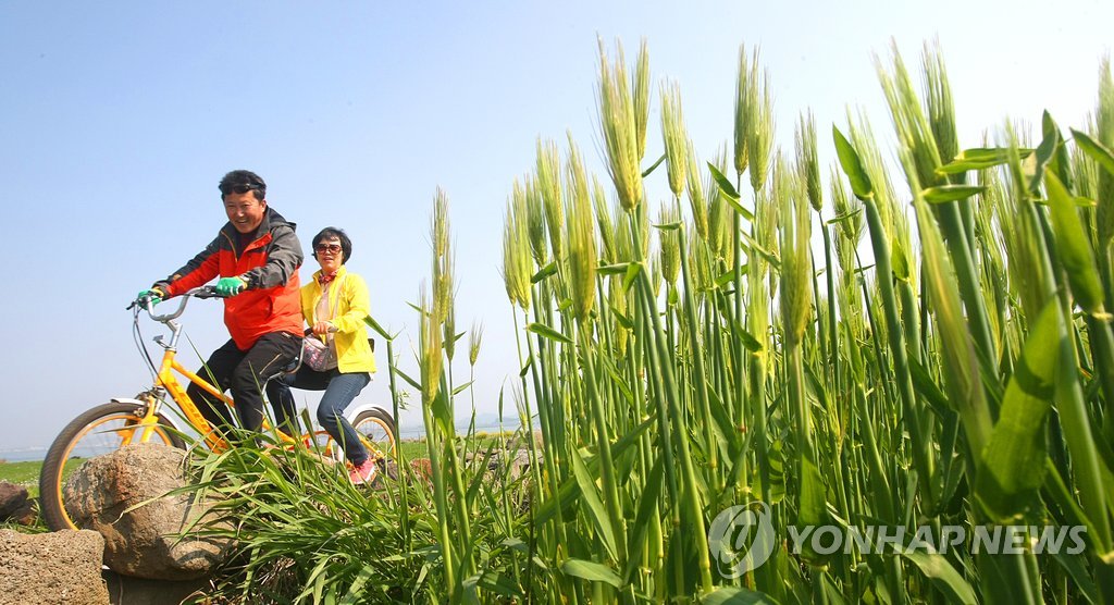 마라도협동조합 이미지
