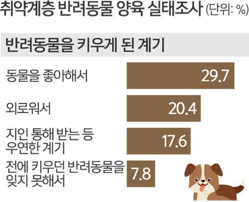 사회적협동조합반려동물 이미지