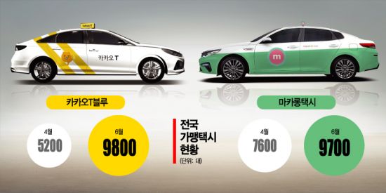 카카오블루 이미지