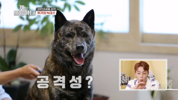 보름 이미지