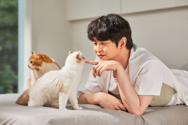 보령헬스케어 이미지