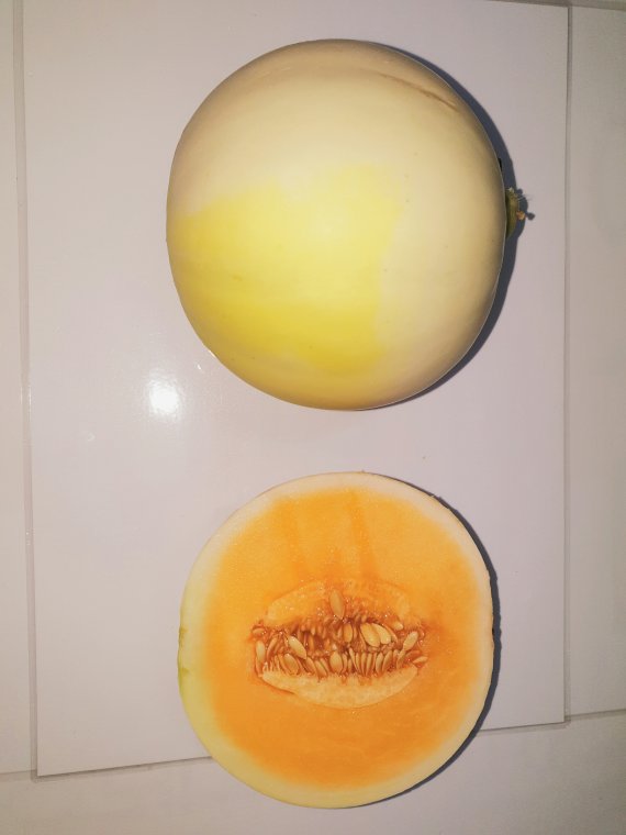 멜론 이미지