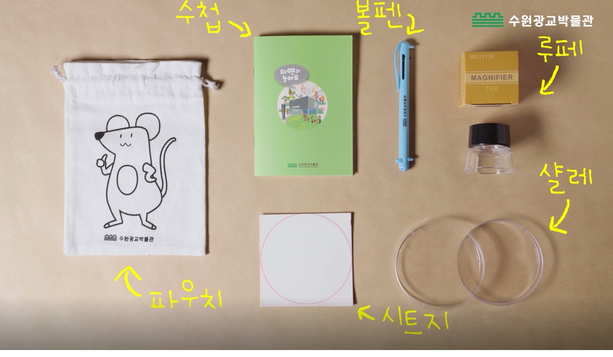 질경이수원 이미지