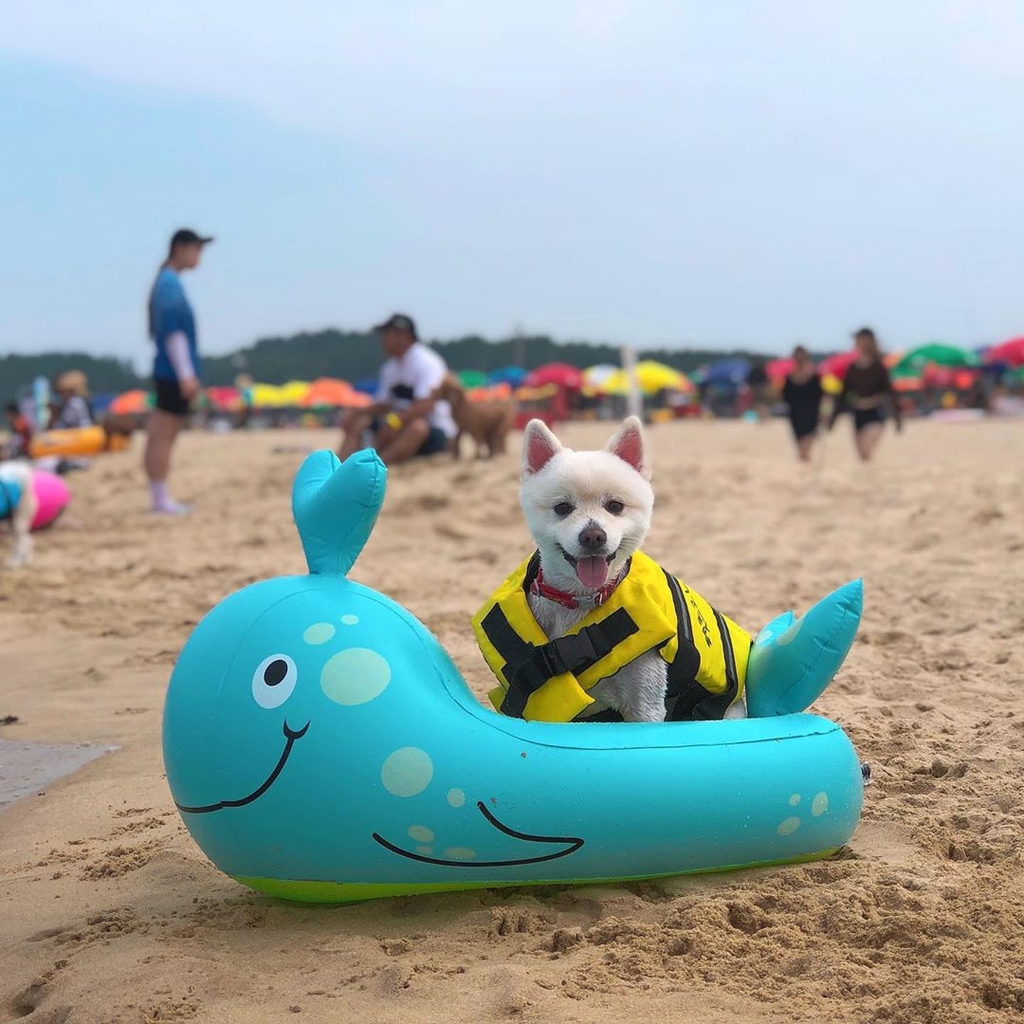 트래블고 여행사 이미지