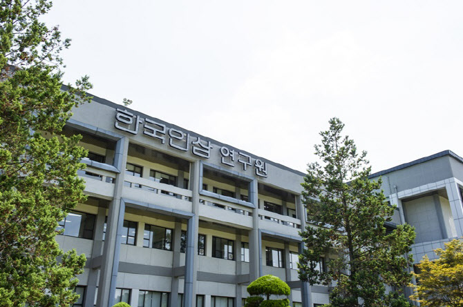 대한인삼 이미지