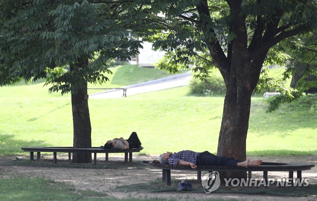 나무그늘 이미지
