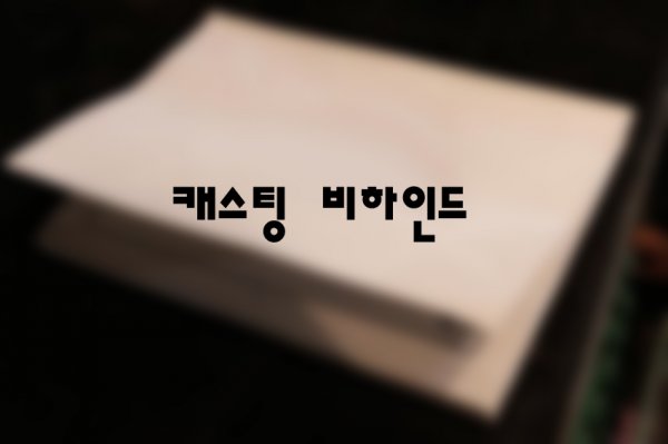 홍세영 이미지