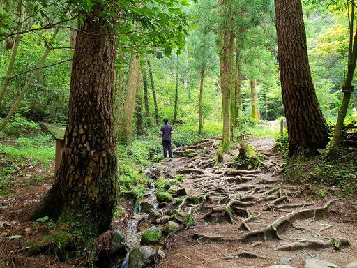 다산명가 이미지