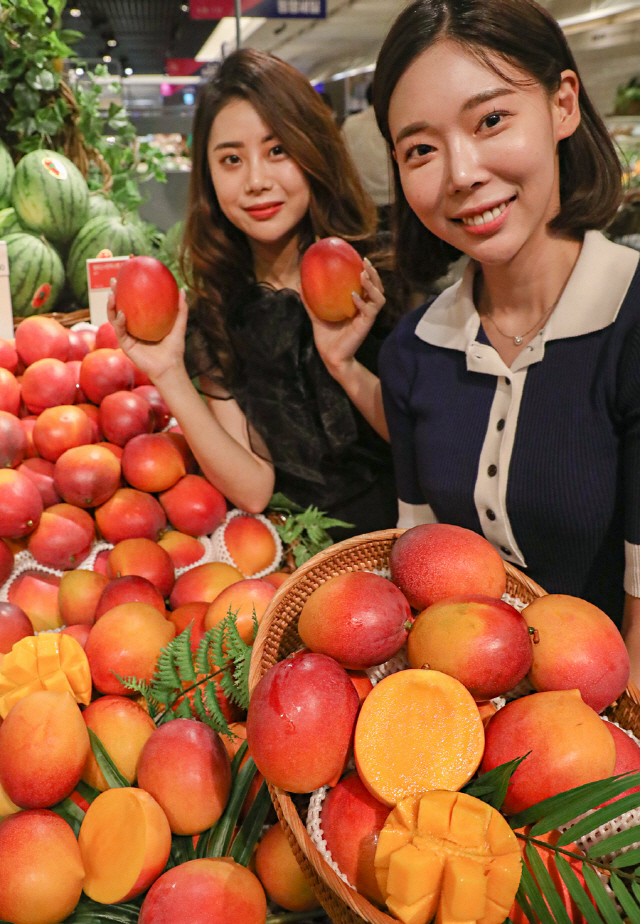 내외 압구정본점 이미지