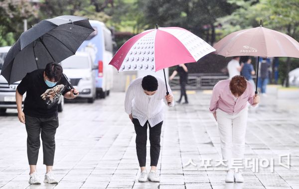 바른청년들 이미지