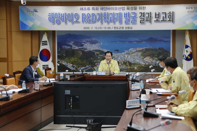 대한해양개발 이미지