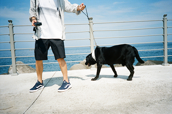 - Model Kim Jin-kyung and Pecker JDZ released campaign contents to find the inspiration that left together.Original action sports/lifestyle brand Vans has unveiled a Footwear Collection, Ultra Range EXO (UltraRange EXO) campaign pictorial upgraded to innovative functionality.This picture is Model Kim Jin-kyung and Pecker JDG