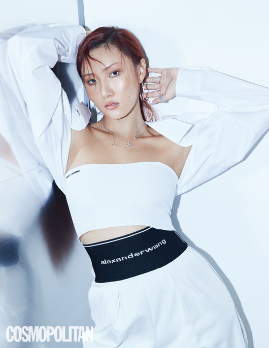 화사 이미지