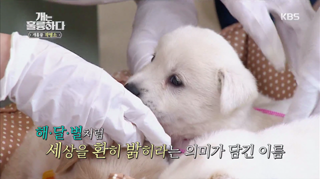 해와별 이미지