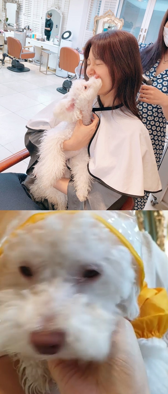 Actor Si-a Jin has revealed his daily life full of cuteness.On the 22nd, Si-a Jin posted photos and videos on his Instagram with the words Finally meet a loving bean!In the public photos and videos, at first glance, there is a white puppy bean like Doll in the arms of Si-a Jin and a bean wearing a cute raincoat.Si-a Jing, who has a frown on the puffys glee, is particularly impressive.The netizens did not hesitate to love the cute figure, saying, I finally meet with my beans and my sister.Meanwhile, Si-a Jing appeared in the 2019 MBC drama Golden Garden.Photo: Si-a Jin Instagram