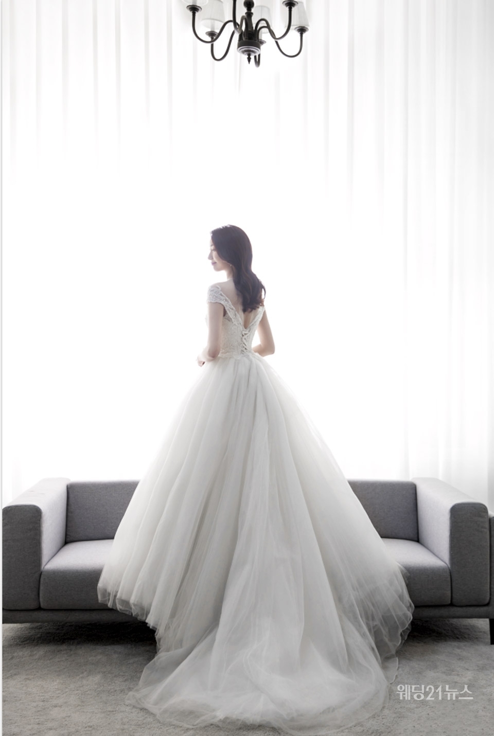 달리아 이미지