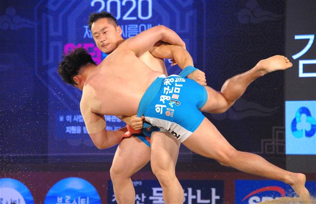 배지기 이미지