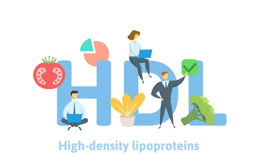 HDL 이미지