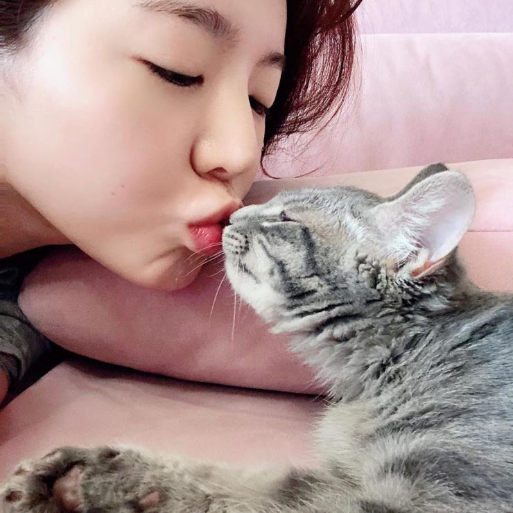 나만없어고양이 이미지