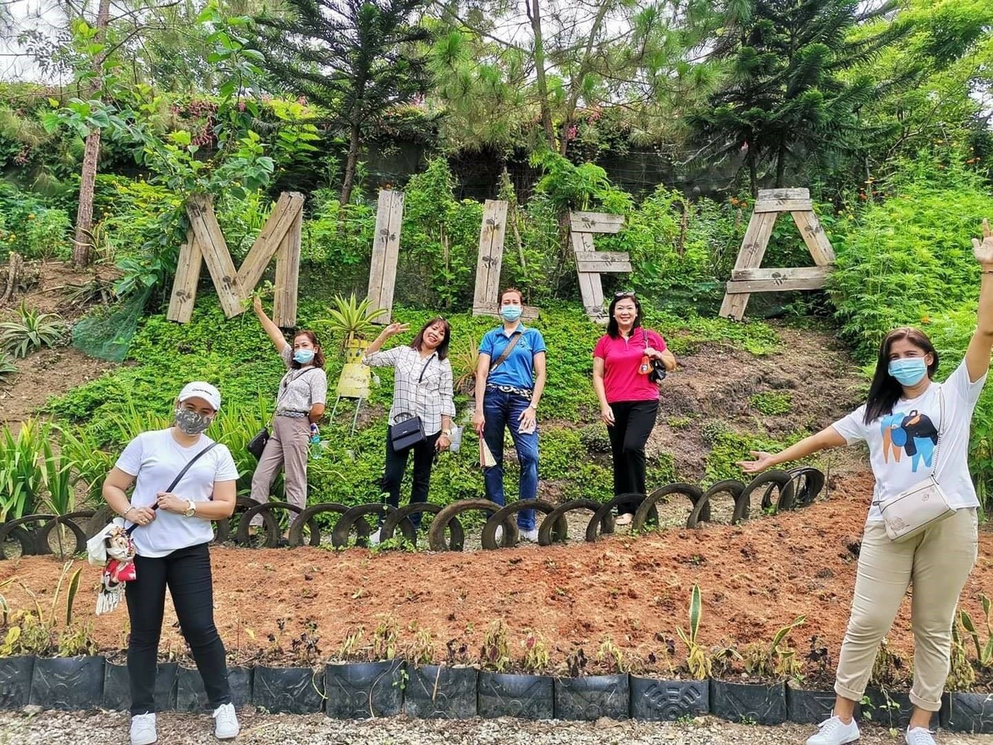 투어 팜(TOUR FARM) 이미지