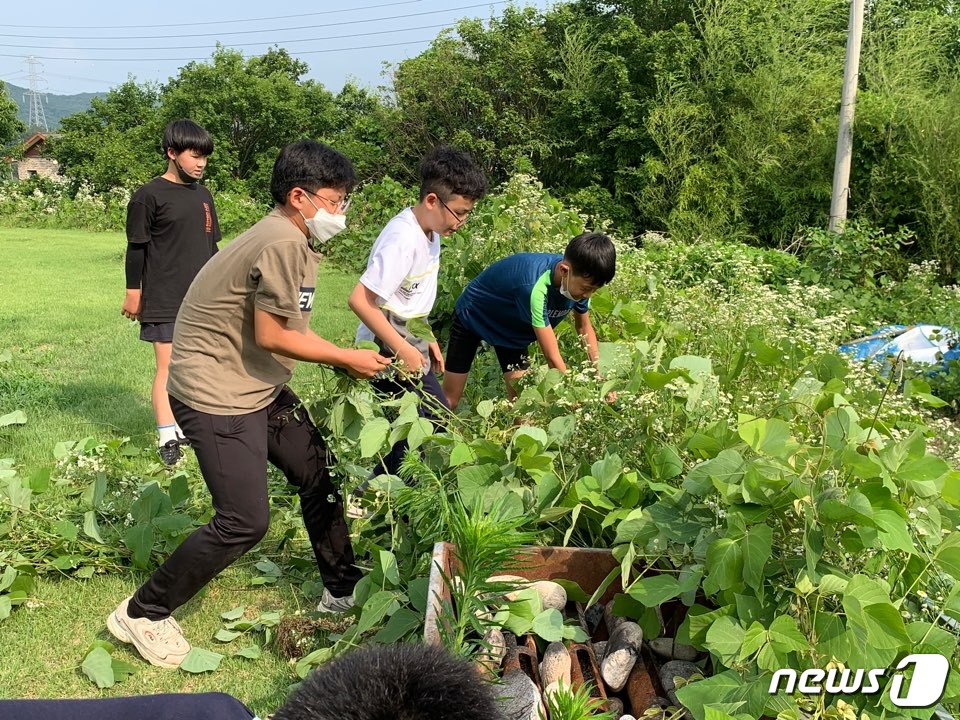 천금집 이미지