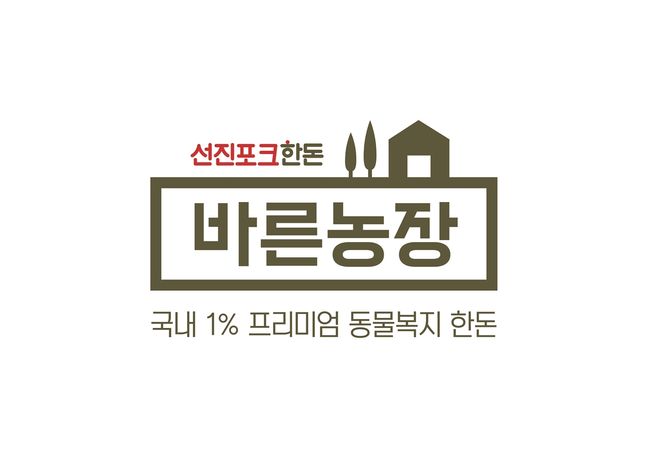 선진 이미지