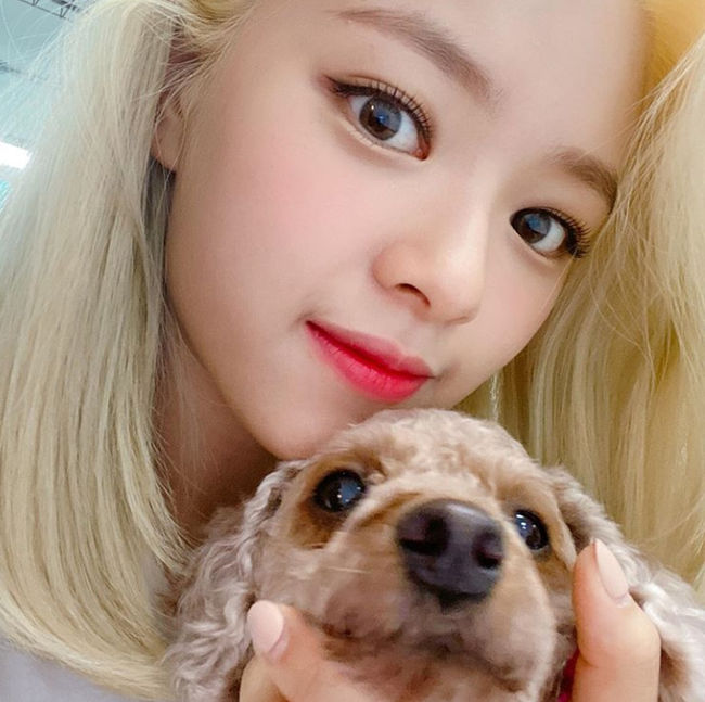 TWICE Jingyuon has released a photo of a super-close selfie and told fans about the recent situation.Today, TWICE Jingyuon posted a picture with the hashtag #WorldinADay # once # Sunday through TWICE official SNS.In the open photo, Jingyeon is staring at the camera with his dog.In particular, Jingyeon revealed his flawless beauty despite revealing a photo of a super-close self-portrait, making men fans heartbreaking once again.Meanwhile, TWICE recently revealed that it will broadcast on-tack performance Beyond LIVE - TWICE: World in A Day (Beyond Live - TWICE: World in a Day, hereinafter World in A Day) live worldwide through Naver V LIVE (as of Korean time) on August 9 at 3 p.m. I have gained a great deal of attention.Many fans prepared a variety of compositions such as a song stage with a wishful album and a surprise performance that can only be done in virtual reality in the first on-tack performance under the name of TWICE.In addition, through the multiple video connection system, 200 fans will be chatting at the same time, and three of the guests will have a special opportunity to meet members at 1:1 Video at the concertTWICESNS capture