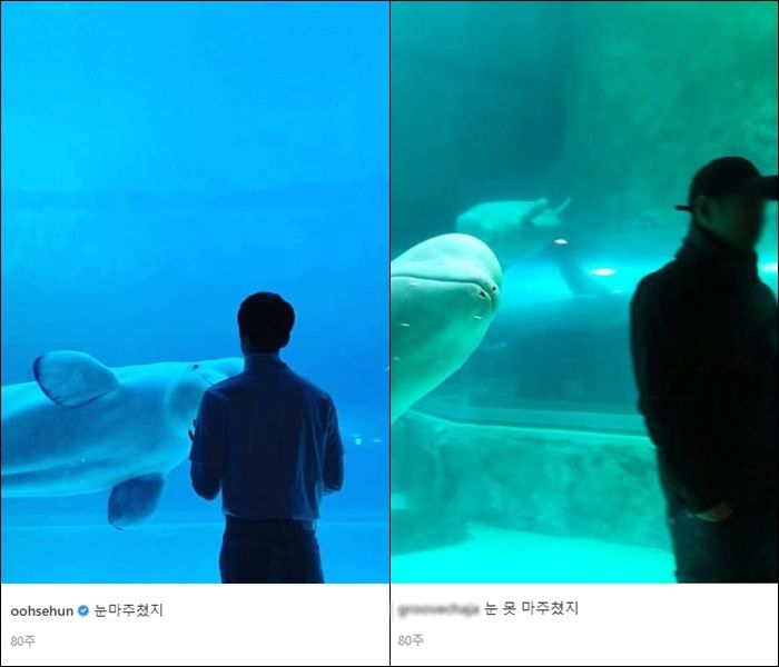 EXO Chanyeol, Rubstagram Suspicion...who your opponent is Boni Fox Group EXO member Chanyeol has been embroiled in a sudden rupstagram (?) suspicion.Yesterday (the 3rd) an online community posted an article entitled EXO Rubstagram Certain.The author wrote, I compared the Shanyeol SNS with the Rub Stargram opponent SNS, but it is not refutable. The same time, the same place. The relative was the manager of EXO.There were many pictures of the same pose and angle in places like Boni, and there were many places such as Hawaii, Barcelona, Budapest.Chanyeol also quivered numbly, leaving a comment directly saying (the following) in a post posted by Manager.But Chanyeol wasnt the only rupstargram with Manager.Many fans responded warmly, such as I was surprised to see only the title of the article, It seems to be good with the manager and Good example of the rupstargram.(Sbstar)