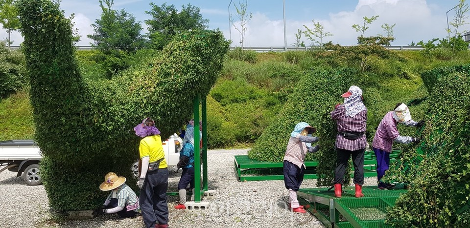 국향 이미지