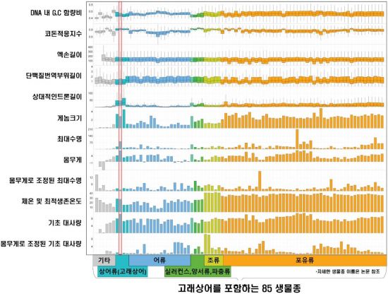 산고래 이미지