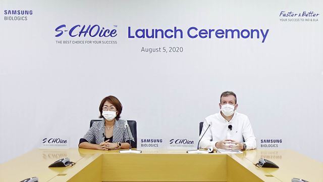 삼성개발주 이미지
