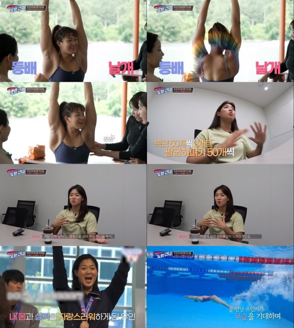 명품날개 이미지