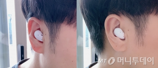 버즈 이미지