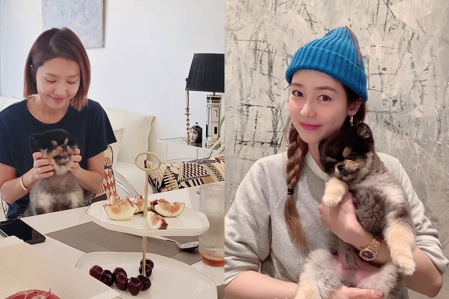 이진 이미지
