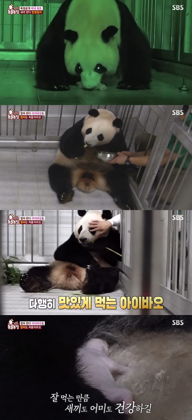 동물농장 이미지